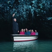 Auckland: Waitomo Caves & Te Puia Rotorua with Picnic Lunch