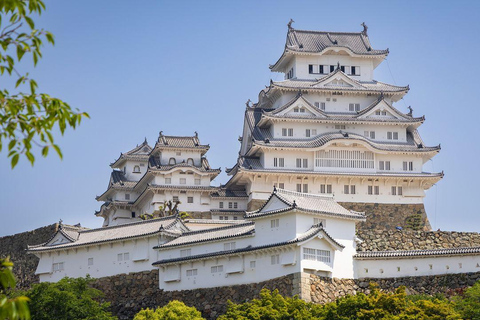 Tour di 3 giorni in autobus di sola andata per Fukuoka da Osaka via SANYO