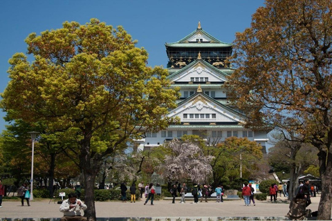 Tokyo: Private 1-Day Tour with English-Driver, Customizable