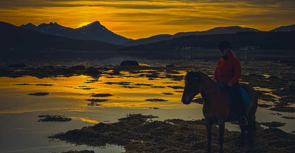 Tromsø: Arctic Midnight Sun Horseback Ride