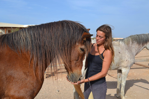 Fuerteventura: Horseback Riding to the Cliffs of El Cotillo Fuerteventura: Horseback Ride to the Cliffs of El Cotillo
