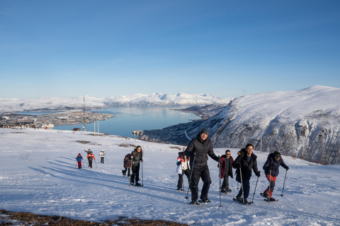 Tromsø: Excursión diurna con raquetas de nieve y teleférico Fjellheisen