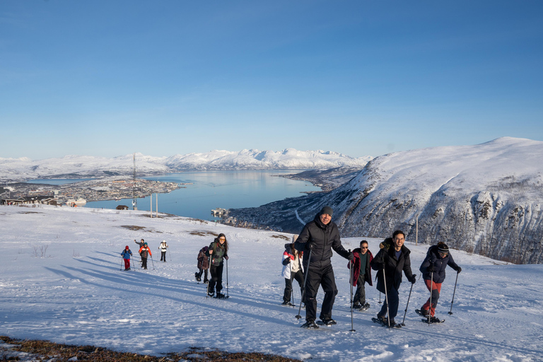 Tromsø : Randonnée en raquettes Fjellheisen en journée et montée en téléphérique