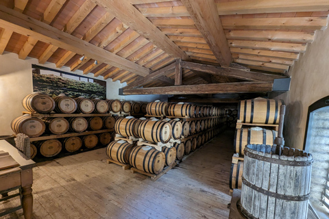 Firenze: Tour a cavallo con degustazione di vini e trasferimento