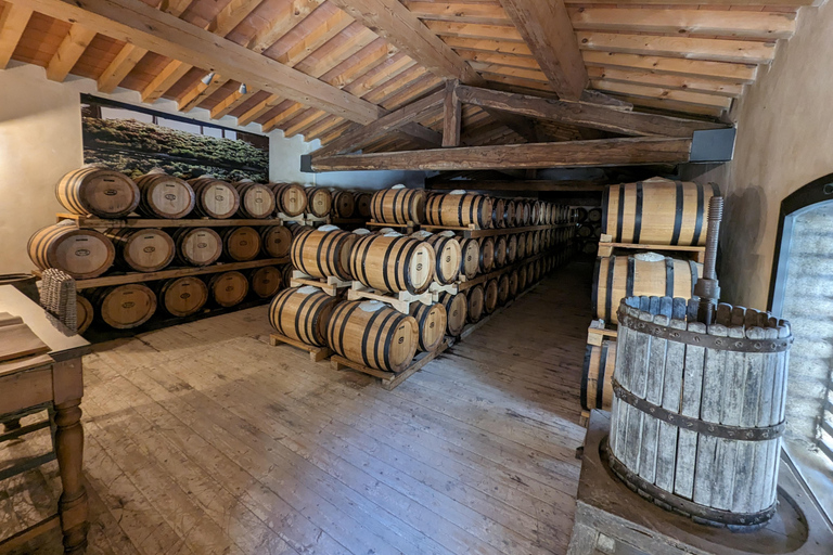 Firenze: Tour a cavallo con degustazione di vini e trasferimento