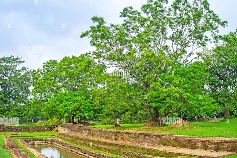 Sigiriya : Best of Sri Lanka - Cultural Tour