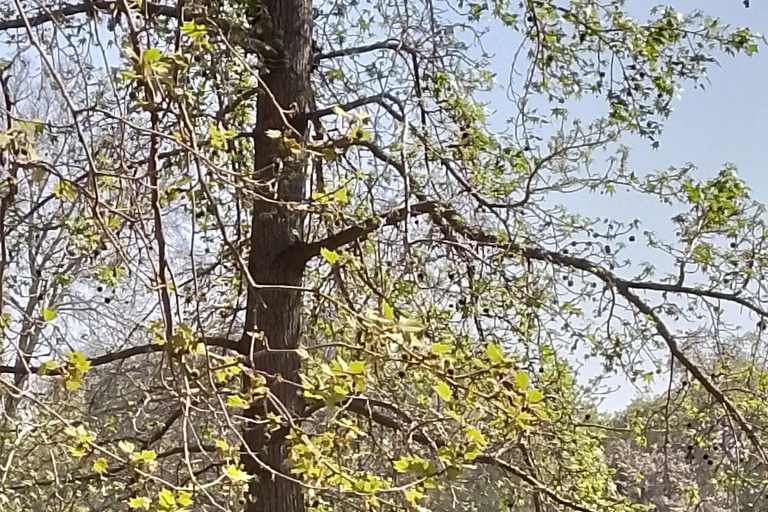 Santiago: Cousiño Macul Vineyard Premium Tasting Tour