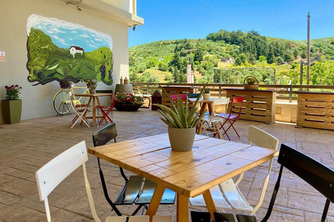 Chania Private Olive Oil Factory and Brewery Tour with Meal