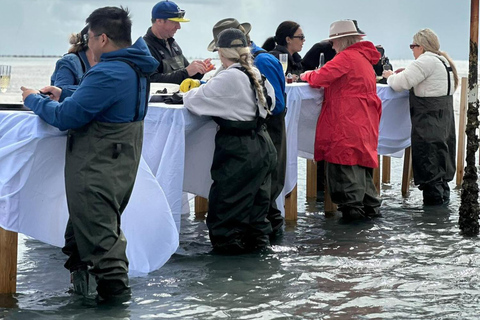 Moreton Bay: Oyster Farm Tour, Boat, Shucking & Tasting