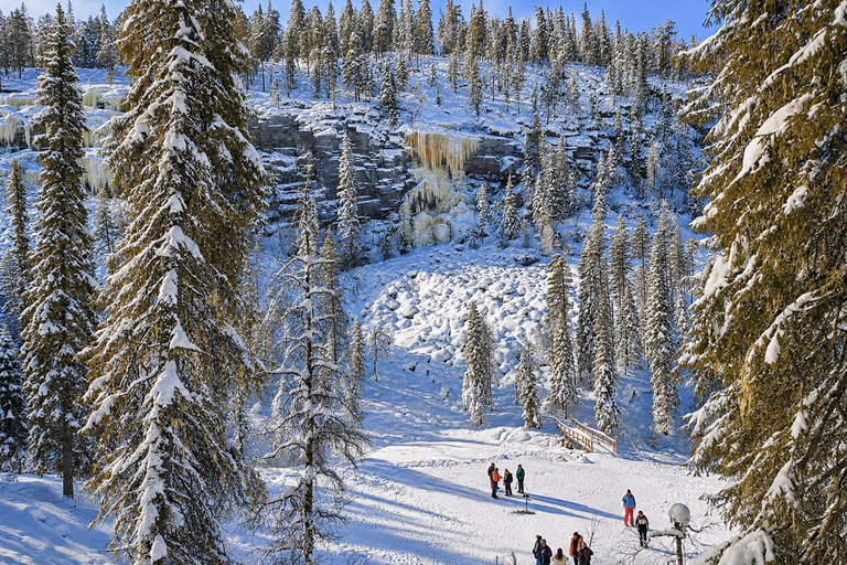 Rovaniemi: Korouoma Canyon & Frozen Waterfalls Tour ⭐ Korouoma Premium | 7h | Small Group | BBQ & Photos