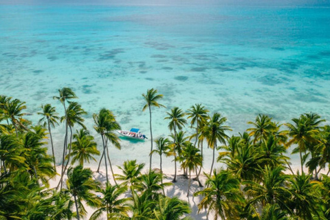 Saona Island: Catamaran tour to a Dream Beach, all inclusive Tour with pickup from Santo Domingo included