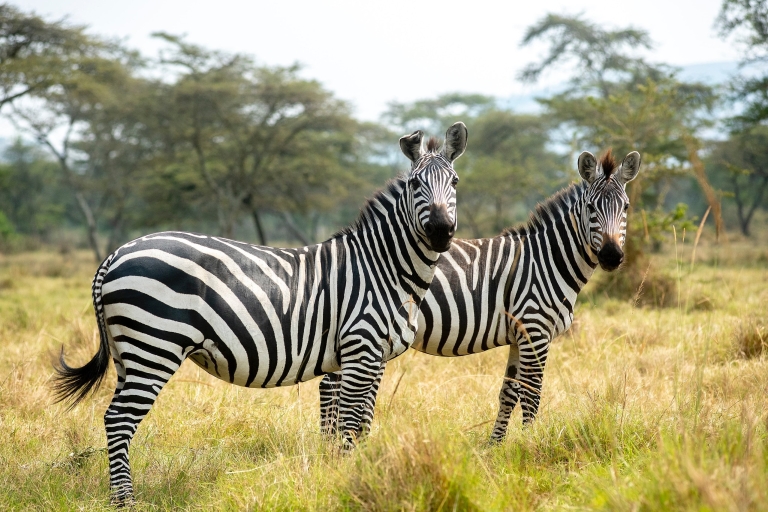 18-daagse safari in Oeganda