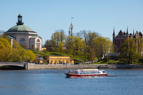 Estocolmo: Crucero por la ciudad con pizza frescaCrucero con pizza vegana Funghi recién hecha