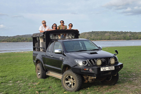 Minneriya National Park Jeep Safari