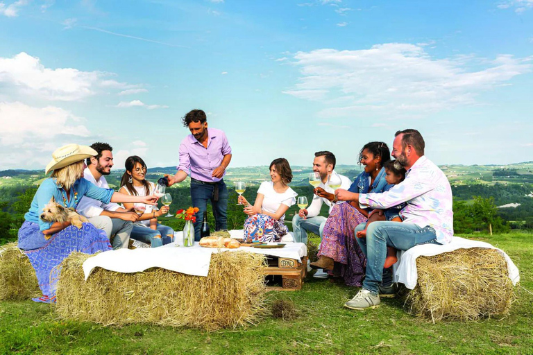Langhe: Alpaca Walk, Farm Visit, and Traditional Picnic