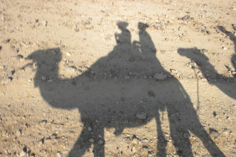 Desde Agadir: Paseo en camello al atardecer con cena barbacoa y traslados