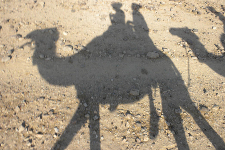 Desde Agadir: Paseo en camello al atardecer con cena barbacoa y traslados