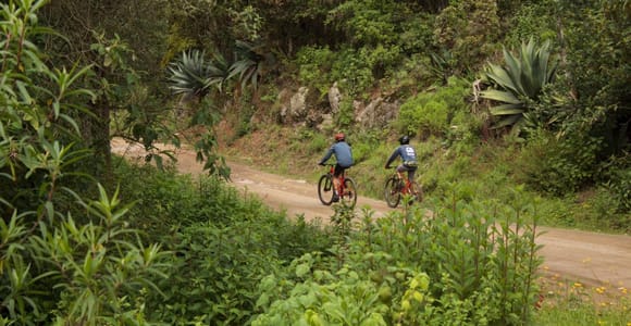 MTB ride at Sierra Norte + Natural dyes extraction class