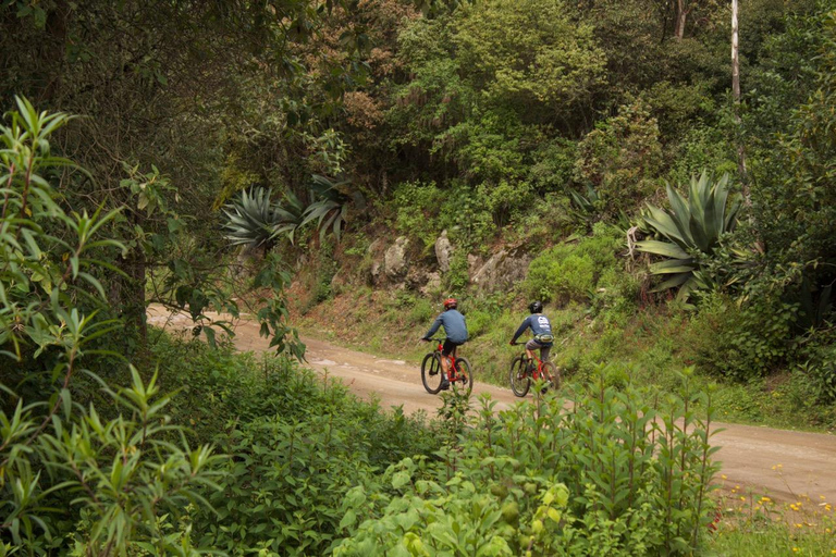 Oaxaca Sierra Norte MTB Tour: Descend, Textiles & Mezcal