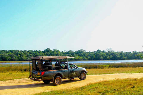 From Colombo: Wilpattu Leopard Safari Private Tour Wilpattu Leopard Safari Private Day Tour