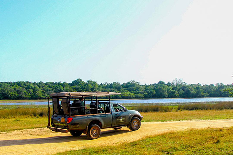 From Colombo: Wilpattu Leopard Safari Private Tour Wilpattu Leopard Safari Private Day Tour