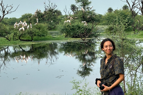 Agra To Bharatpur Same Day Tour with Fatehpur Sikri