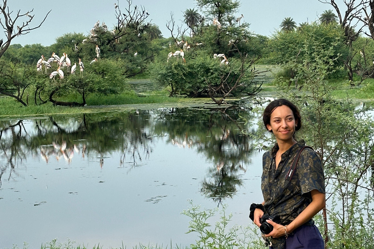 Agra To Bharatpur Same Day Tour with Fatehpur Sikri