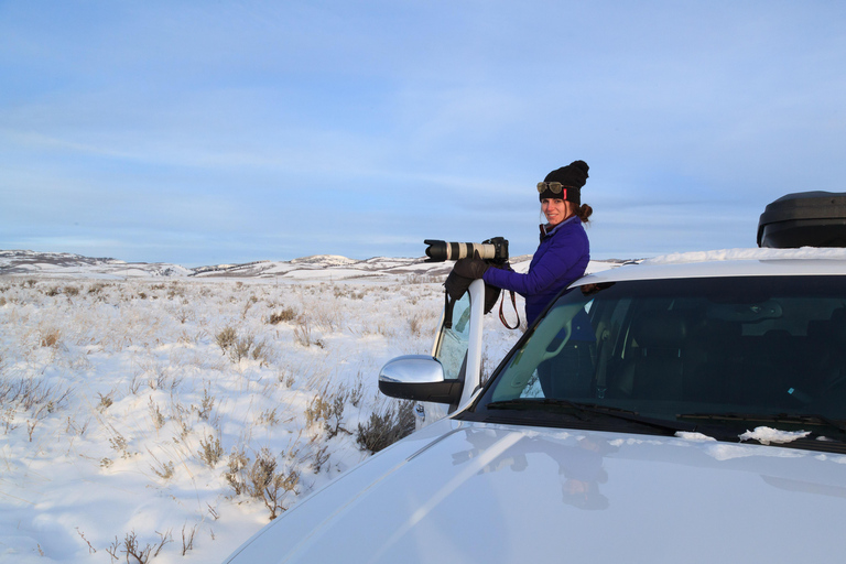 From Jackson Hole: Half-Day Grand Teton Winter Wildlife Tour