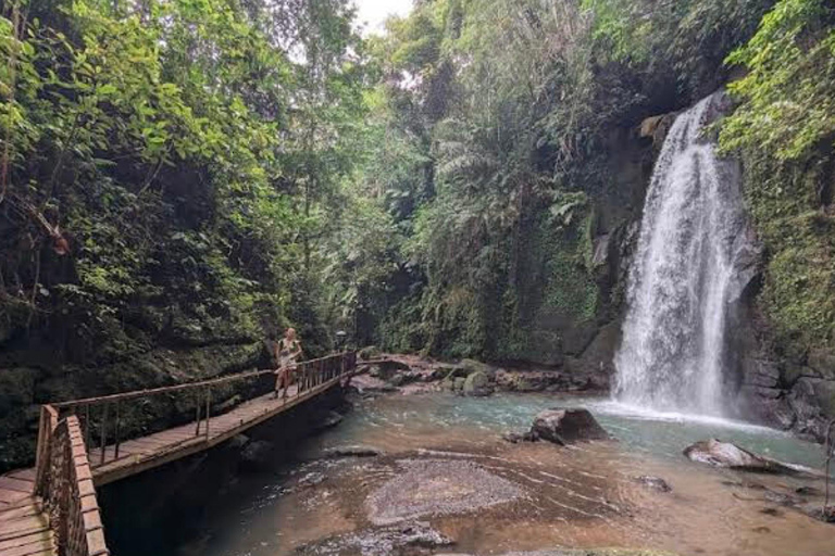 Ubud: foresta delle scimmie, tempio, terrazze di riso, cascata nascostaTour privati