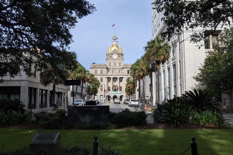 Savannah: Caminhando pela história oculta de Savannah