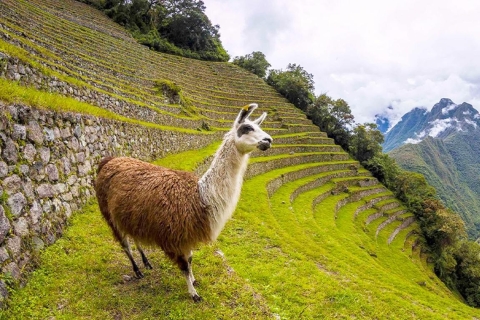Kurzer Inka-Pfad nach Machu Picchu 2D/1N