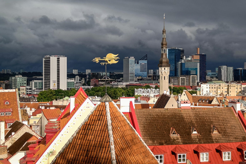 تالين: جولة سير خاصة وشخصية في البلدة القديمةتالين: جولة سير شخصية خاصة في البلدة القديمة لمدة 3 ساع