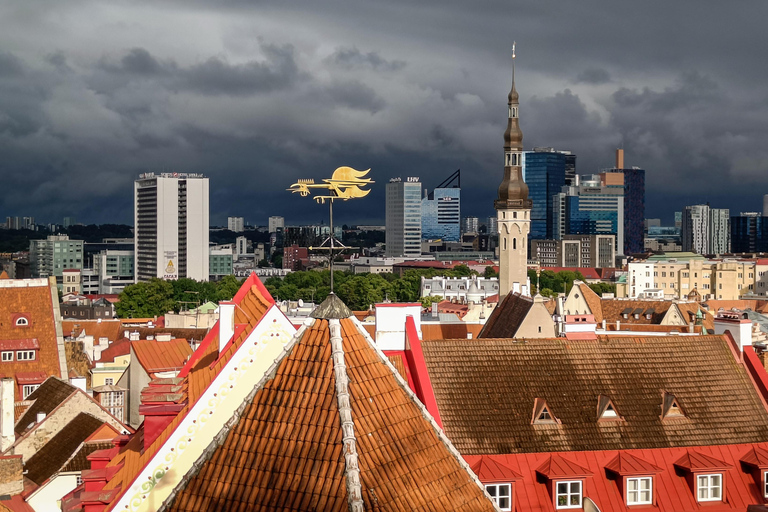 تالين: جولة سير خاصة وشخصية في البلدة القديمةتالين: جولة سير شخصية خاصة في البلدة القديمة لمدة 3 ساع