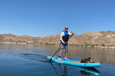 Plage de Willow : Location de paddle board