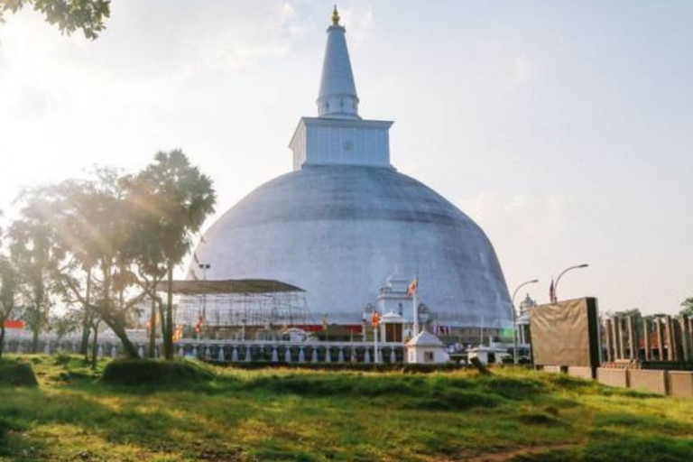 Poznaj bogatą kulturę i dziedzictwo Sri Lanki podczas 7-dniowego Jou
