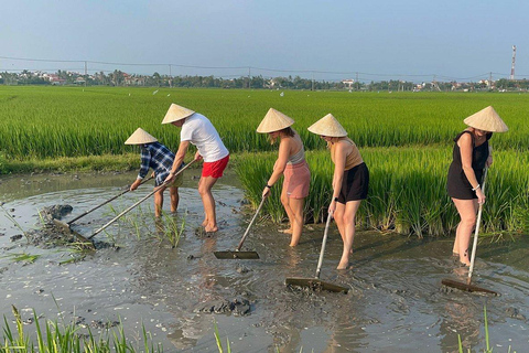 Hoi An: Andar de bicicleta, andar de búfalo, ser fazendeiro e pescadorHoi An: Passeio de bicicleta, passeio de búfalo, seja um fazendeiro.