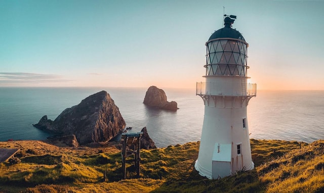 Auckland: Tiritiri Matangi Island Birdwatching & Nature Tour