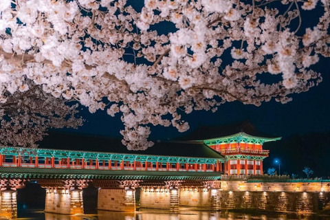 From Busan: Gyeongju Custom Private Day Tour with Pickup