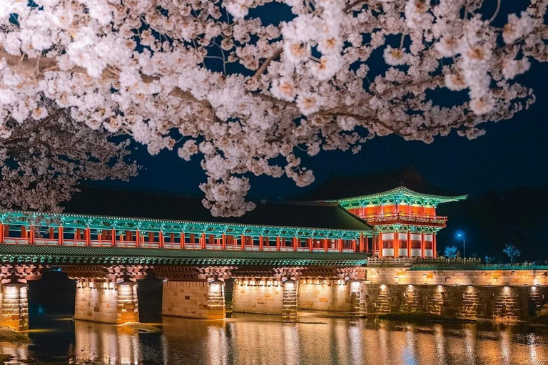 From Busan: Gyeongju Custom Private Day Tour with Pickup