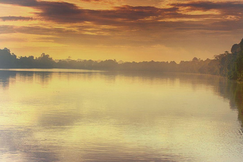 Sandakan: 2 Days 1 Night Bilit, Kinabatangan River Wildlife (Shared Tour) 2 Days At Bilit, Kinabatangan River Wildlife