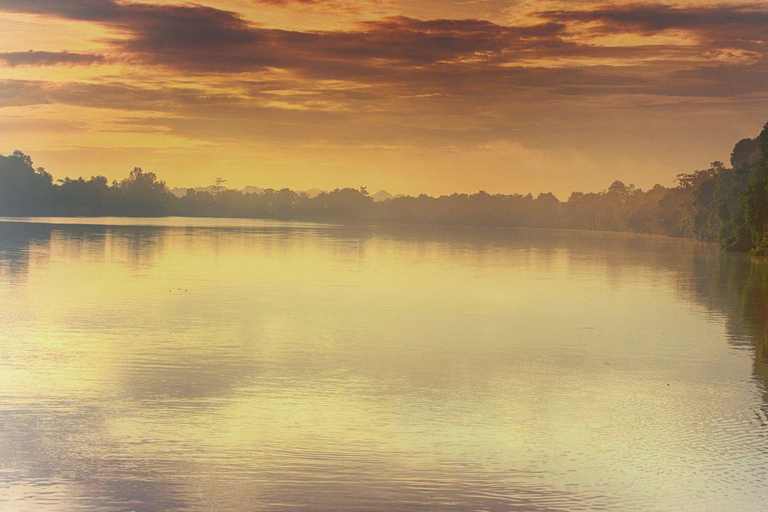 Sandakan: 2 Days 1 Night Bilit, Kinabatangan River Wildlife (Shared Tour) 2 Days At Bilit, Kinabatangan River Wildlife