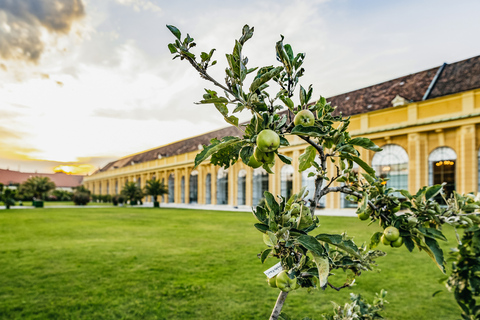 Wiedeń: Koncert Mozarta i Straussa w SchoenbrunnCena V – VIP