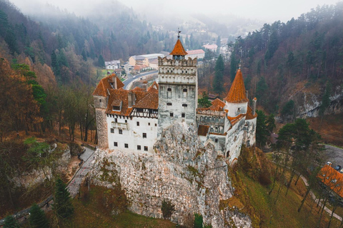 Brasov: Bran Castle Private Tour with Local Flavors