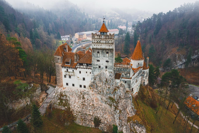 Brasov: Bran Castle Private Tour with Local Flavors
