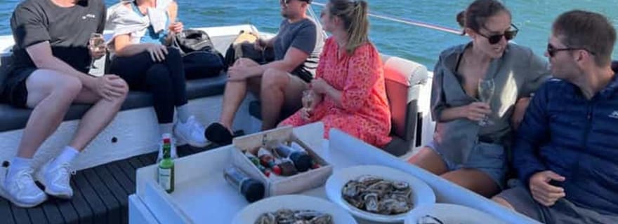 Lagon de Knysna : Croisière en bateau avec dégustation d'huîtres et de vin blanc