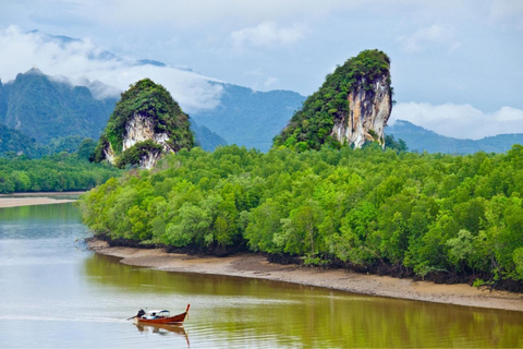 Krabi: tour di mezza giornata della città con sorgenti termali e piscina di smeraldo