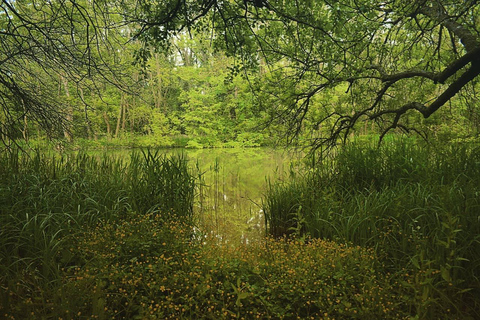 Från Obzor: Aladzha, Kamchia, Varna, Pobiti Kamani m.fl.