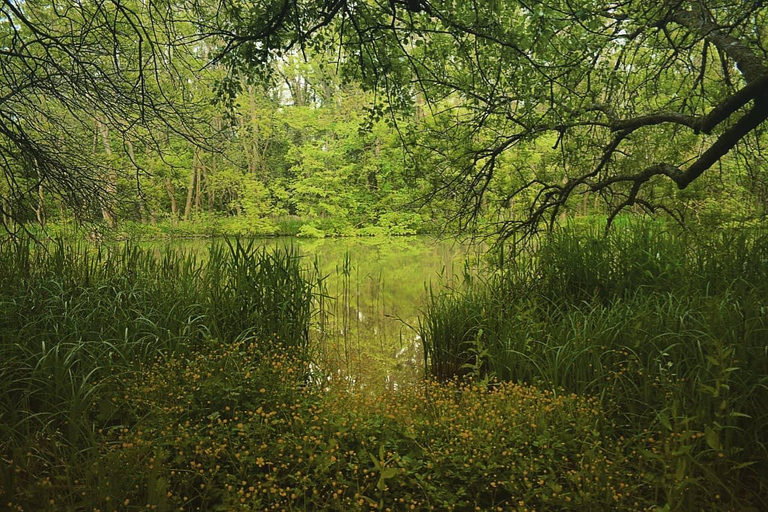 Prywatna całodniowa wycieczka: Aładża, Kamczia, Warna, Pobiti KamaniWycieczka całodniowa: Aładża, Kamczia, Warna, Pobiti Kamani i więcej