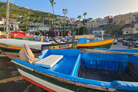 Funchal: Private Cable Car, Toboggan, and Skywalk Tour