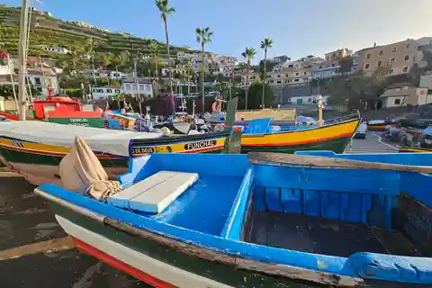 Funchal: Excursão particular ao Teleférico, Tobogã e Skywalk